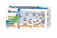 Superfish Easy Breeding Box 