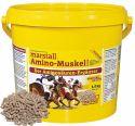 Marstall Amino-Muskel Plus, 3,5 kg