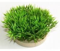 Sydeco Planta Plastico Cesped Green Moss 50 Gr