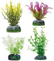 Aquatic Plants Set 4 Planta Fucus Ludwigia Alternan 110 Gr