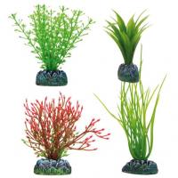 Aquatic Plants Set 4 Plantas Acoru Amazona Y Chara 108 Gr